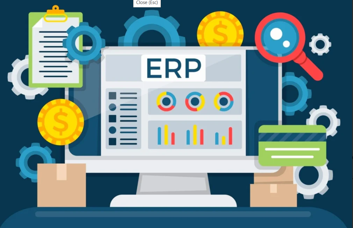 Software Development Team